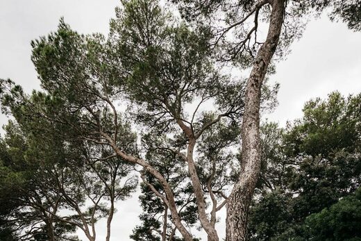 Agence d’architectes DPLG spécialisée dans la construction et la rénovation de propriétés de luxe à Cannes sur la Côte d’Azur